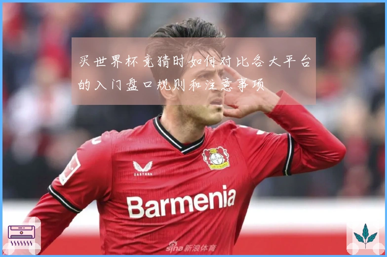 买世界杯竞猜时如何对比各大平台的入门盘口规则和注意事项