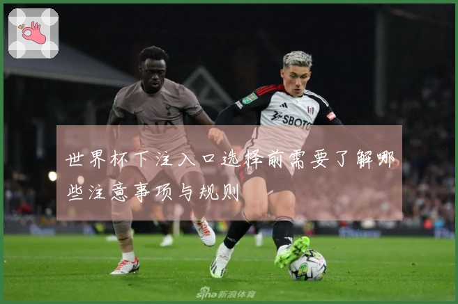 世界杯下注入口选择前需要了解哪些注意事项与规则