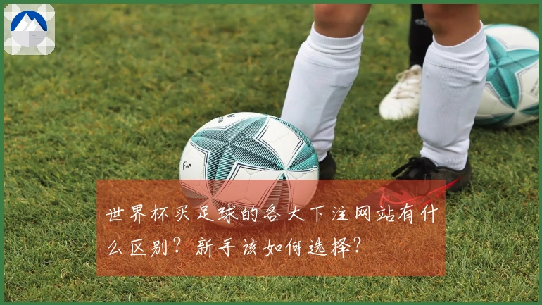 世界杯买足球的各大下注网站有什么区别？新手该如何选择？