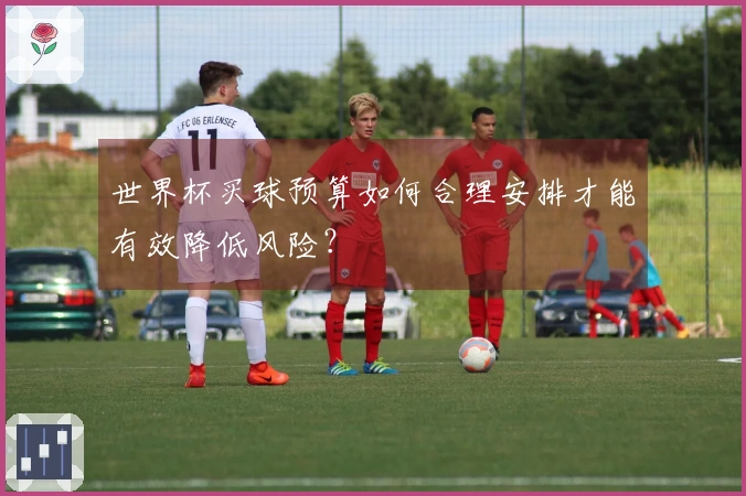 世界杯买球预算如何合理安排才能有效降低风险？