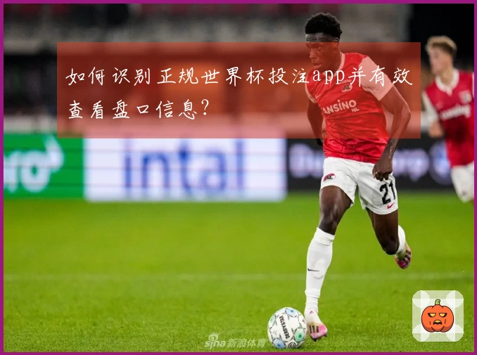 如何识别正规世界杯投注app并有效查看盘口信息？