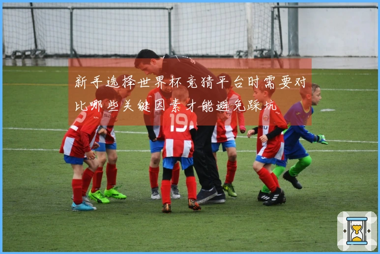 新手选择世界杯竞猜平台时需要对比哪些关键因素才能避免踩坑