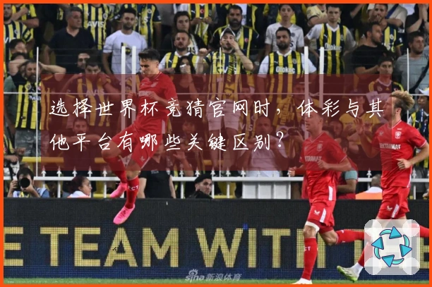 选择世界杯竞猜官网时，体彩与其他平台有哪些关键区别？