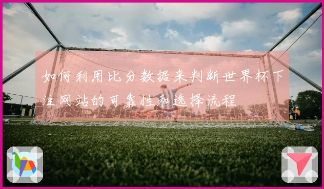 如何利用比分数据来判断世界杯下注网站的可靠性和选择流程