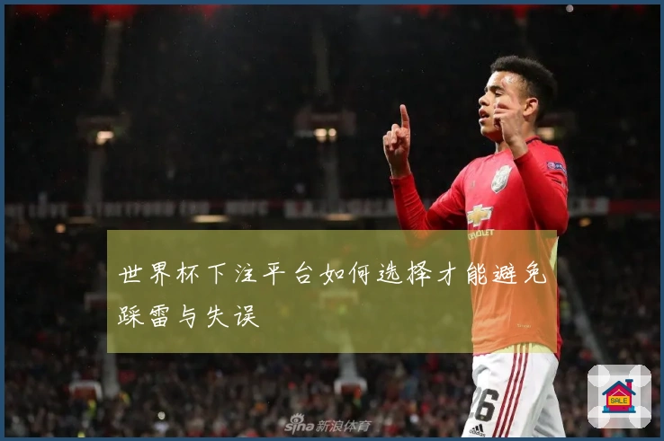世界杯下注平台如何选择才能避免踩雷与失误