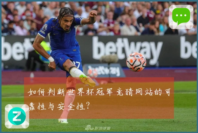 如何判断世界杯冠军竞猜网站的可靠性与安全性？