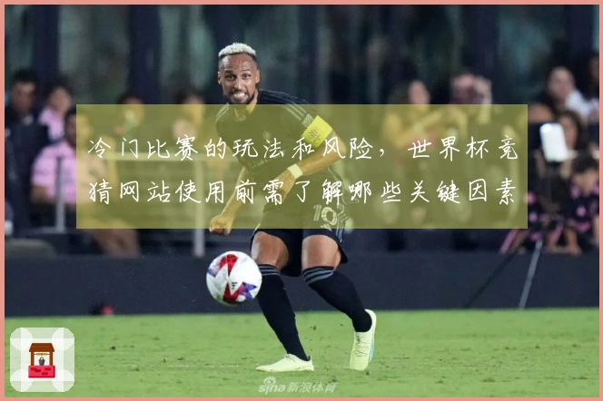 冷门比赛的玩法和风险，世界杯竞猜网站使用前需了解哪些关键因素