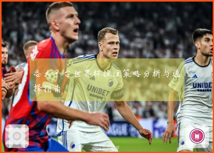各大平台世界杯投注策略分析与选择指南