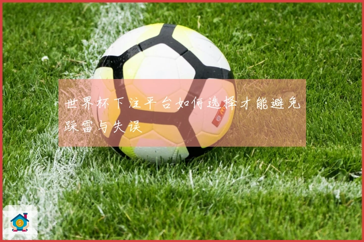 世界杯下注平台如何选择才能避免踩雷与失误