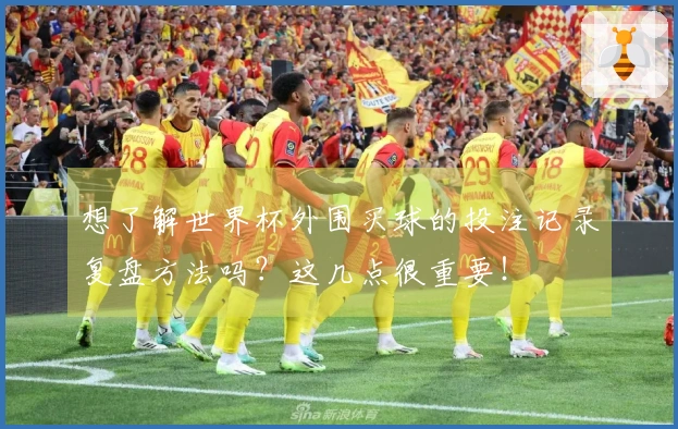 想了解世界杯外围买球的投注记录复盘方法吗？这几点很重要！