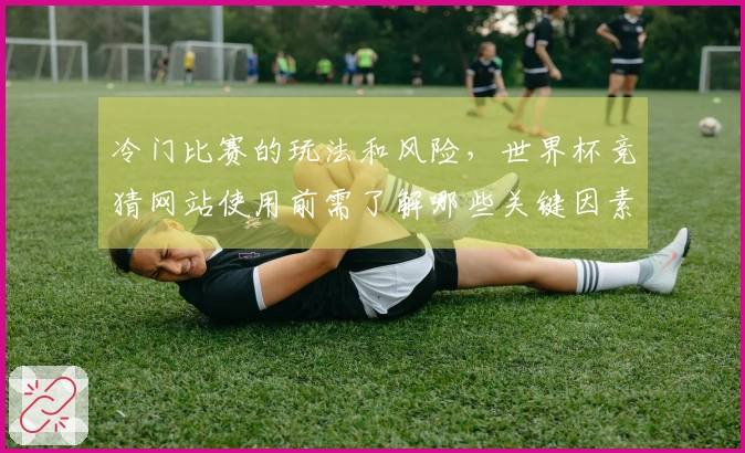 冷门比赛的玩法和风险，世界杯竞猜网站使用前需了解哪些关键因素