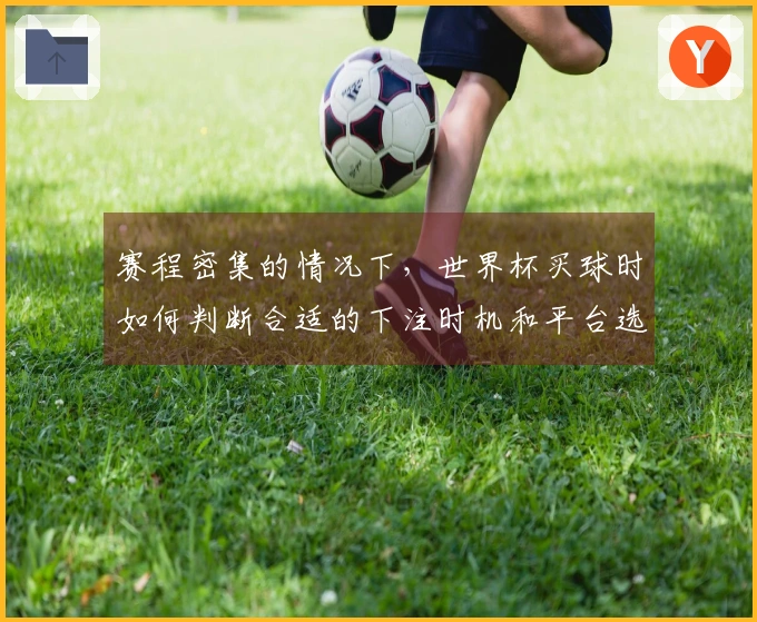 赛程密集的情况下，世界杯买球时如何判断合适的下注时机和平台选择