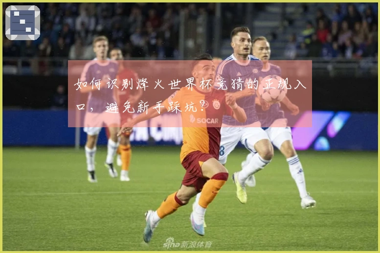 如何识别烽火世界杯竞猜的正规入口，避免新手踩坑？