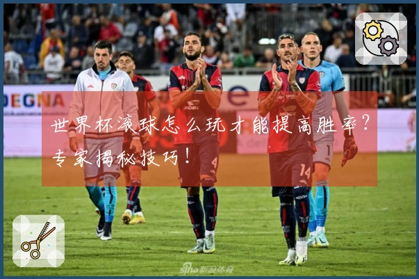 世界杯滚球怎么玩才能提高胜率？专家揭秘技巧！