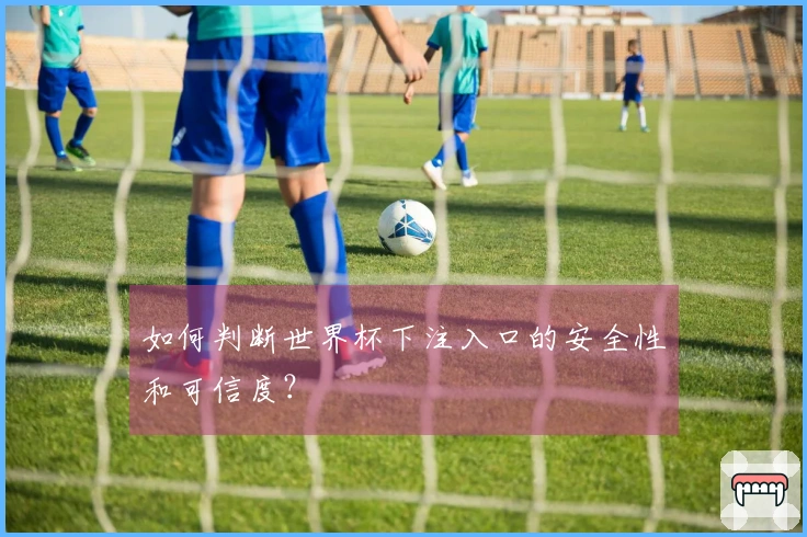 如何判断世界杯下注入口的安全性和可信度？