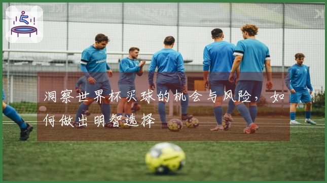 洞察世界杯买球的机会与风险，如何做出明智选择