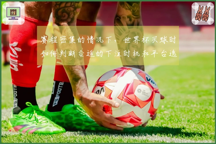 赛程密集的情况下，世界杯买球时如何判断合适的下注时机和平台选择