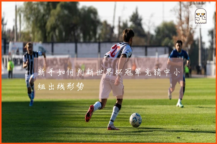 新手如何判断世界杯冠军竞猜中小组出线形势