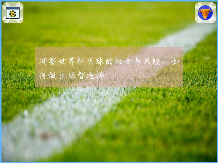洞察世界杯买球的机会与风险，如何做出明智选择