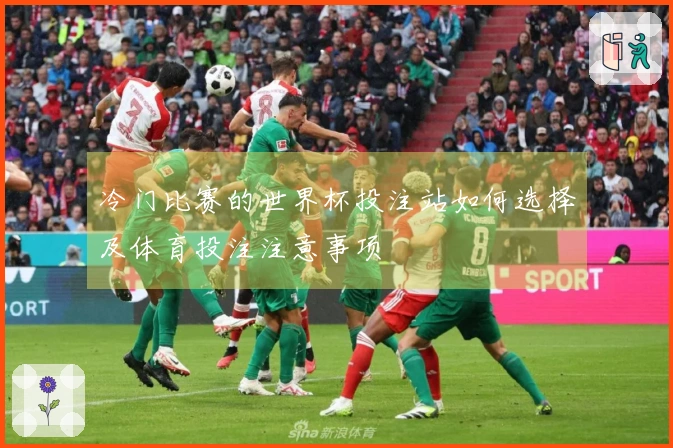 冷门比赛的世界杯投注站如何选择及体育投注注意事项