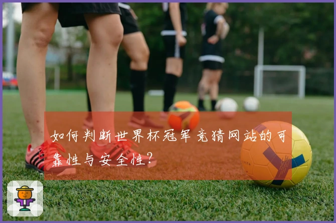 如何判断世界杯冠军竞猜网站的可靠性与安全性？