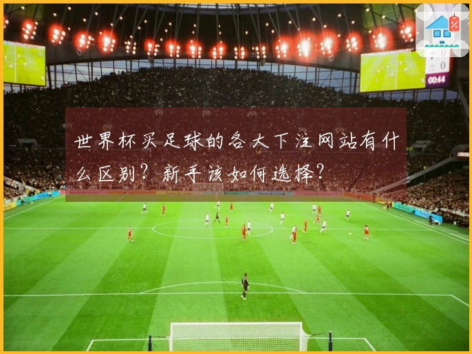 世界杯买足球的各大下注网站有什么区别？新手该如何选择？