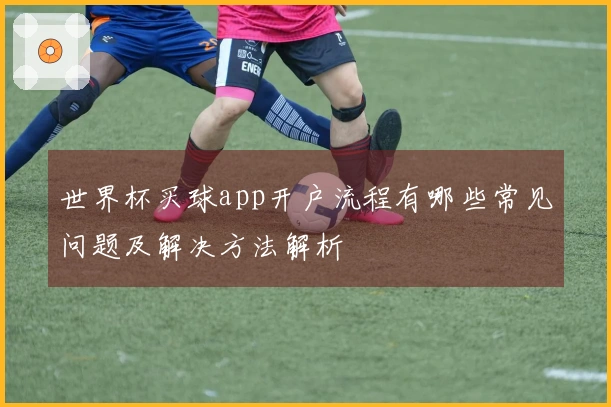 世界杯买球app开户流程有哪些常见问题及解决方法解析