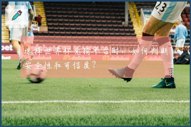 选择世界杯竞猜平台时，如何判断安全性和可信度？