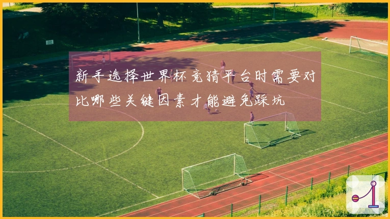 新手选择世界杯竞猜平台时需要对比哪些关键因素才能避免踩坑